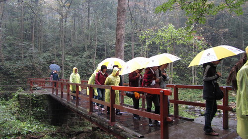 我公司组织部分员工张家界，，，，，，凤凰古城四日游