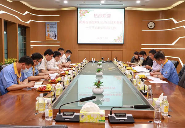 南海区铝型材行业协会手艺专家一行莅临德赢VWIN集团指导事情