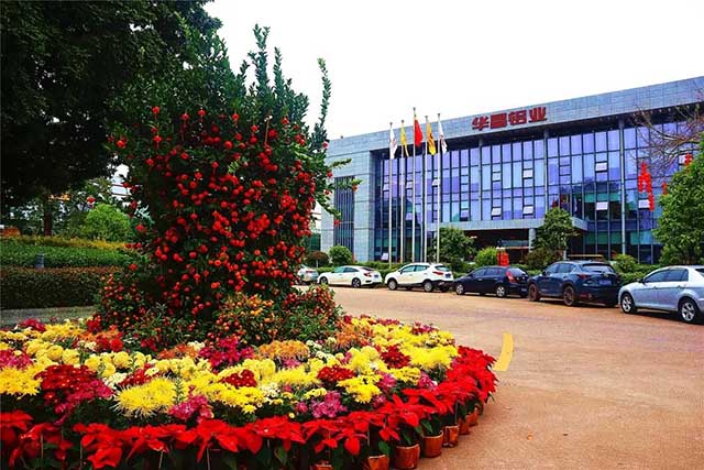 开工大吉 | 德赢VWIN集团“虎”力全开，，，，，清静迎战2022!